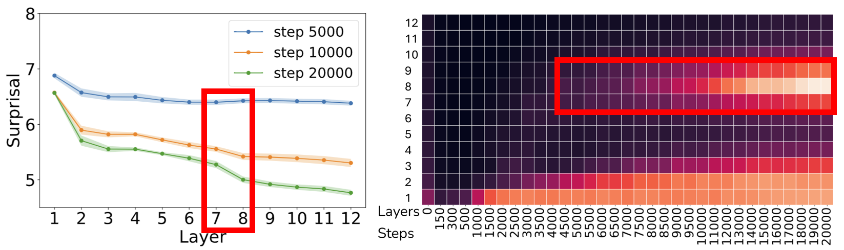 Tuned Lens with Saliency